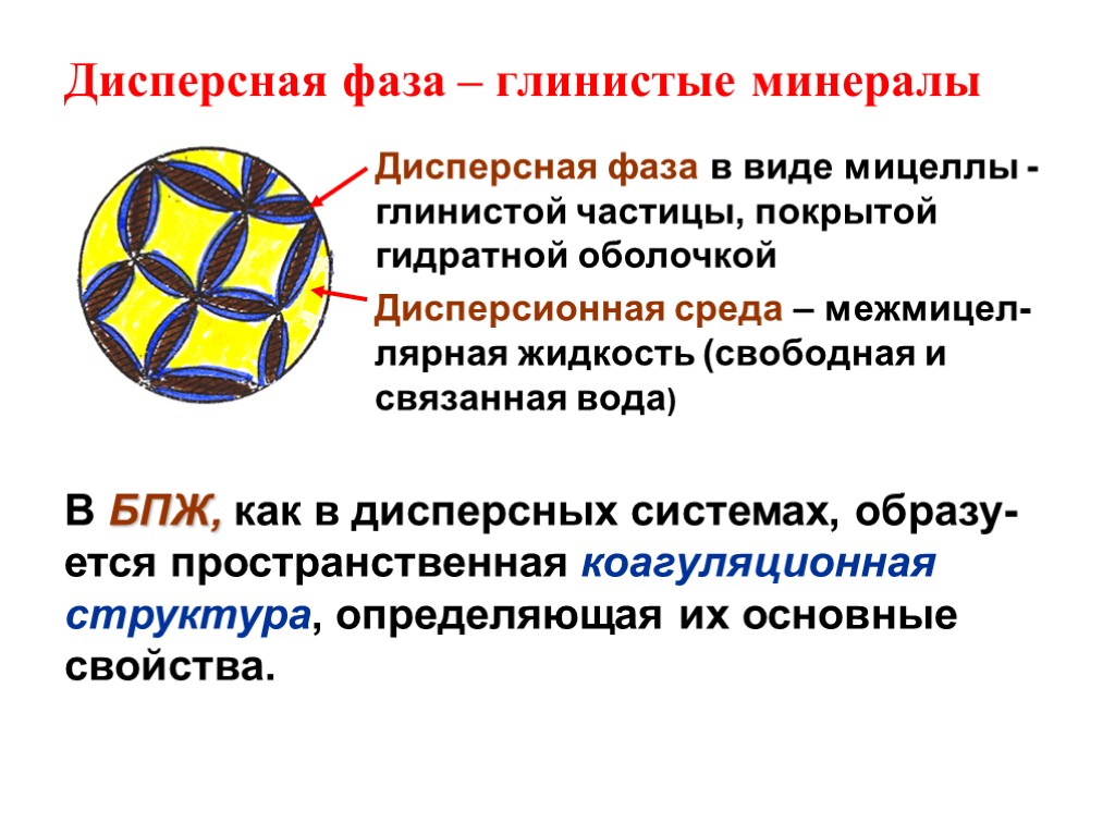 Дисперсная фаза – глинистые минералы В БПЖ, как в дисперсных системах, образу-ется пространственная коагуляционная